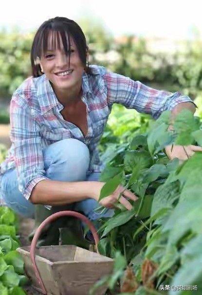 Northeast spring garlic growing technology