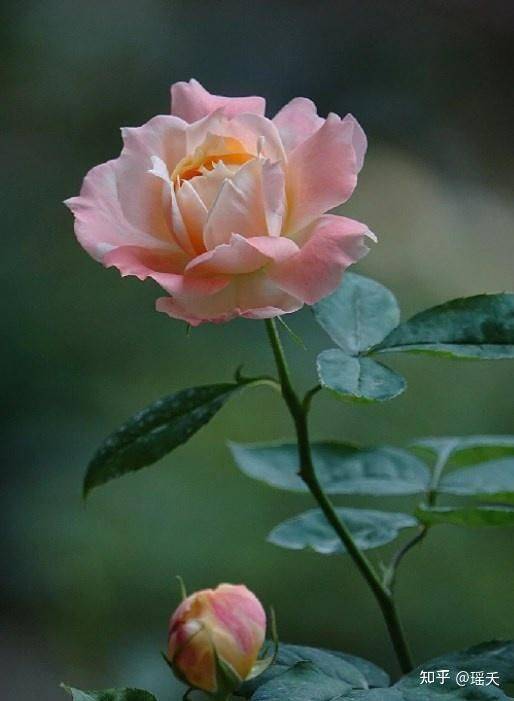 Monthly planting methods