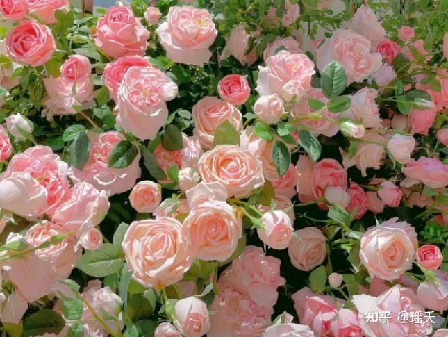 Monthly planting methods