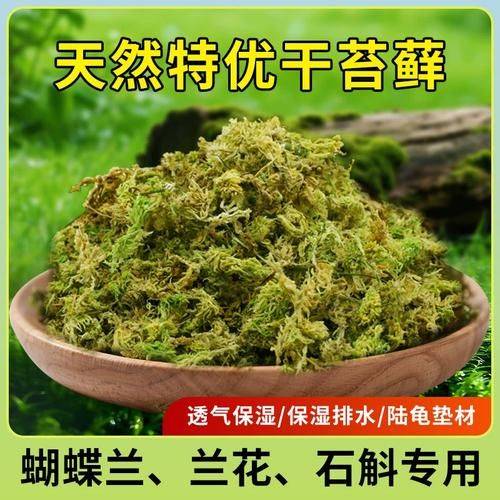 Simple cultivation of orchid moss