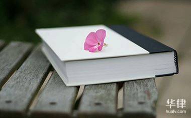 Legal protection of intellectual property rights online