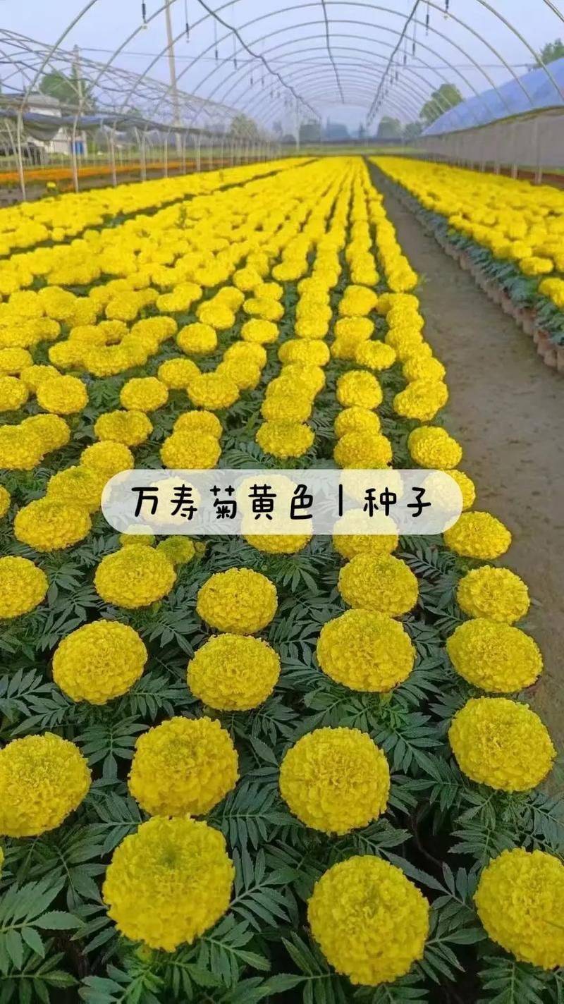 Family cultivation methods