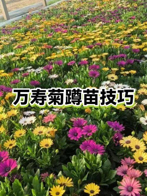 Family cultivation methods