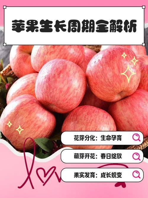 High-yielding plant technology no. 3 of sushang