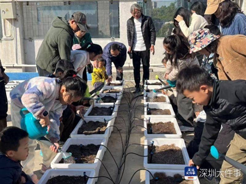 Greening roof structures