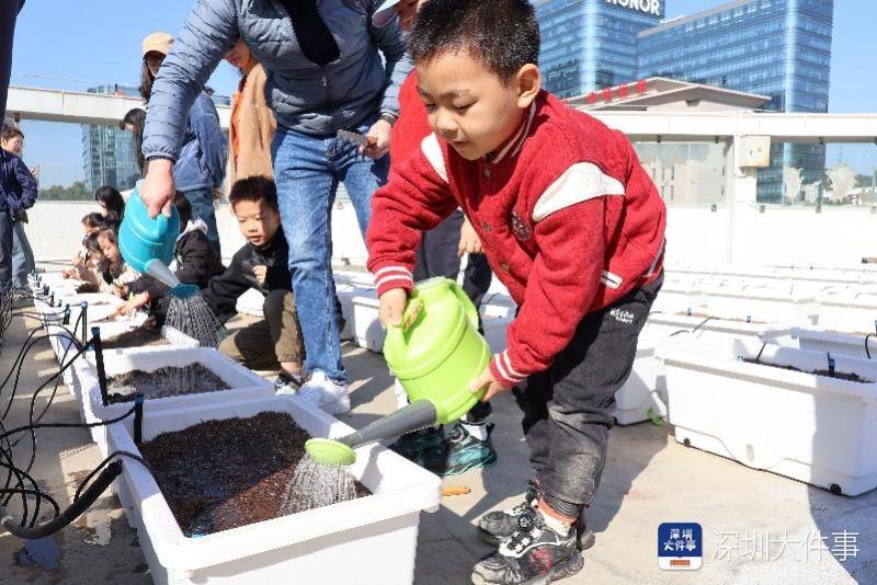 Greening roof structures