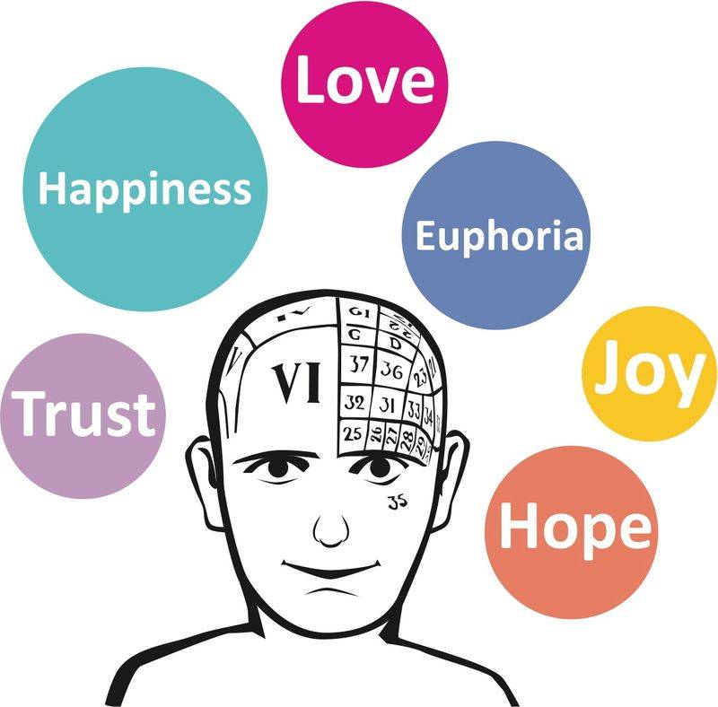 弗洛伊德理论论文