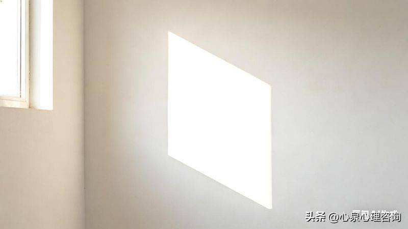 弗洛伊德理论论文