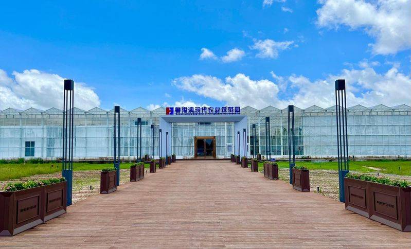 粤港澳现代农业示范园投产！珠海市民12月可尝到高端果蔬