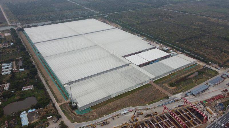 New varieties of high-quality fruit