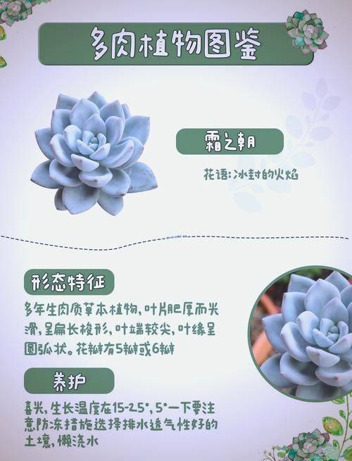Methods and care for the cultivation of multi-fatal plants