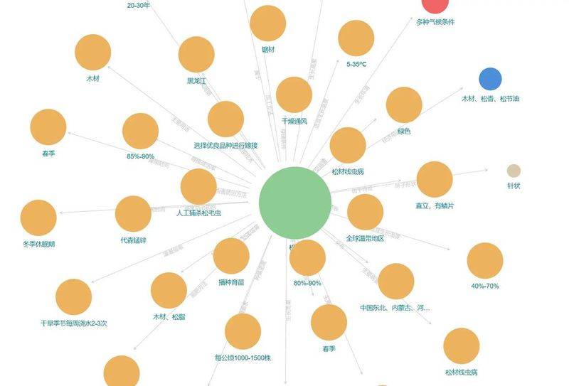 Google knowledge mapping network