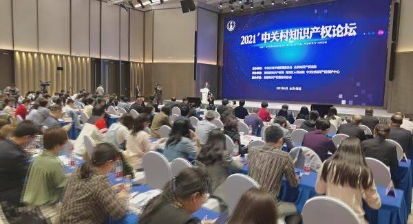 北京知识产权法院高清