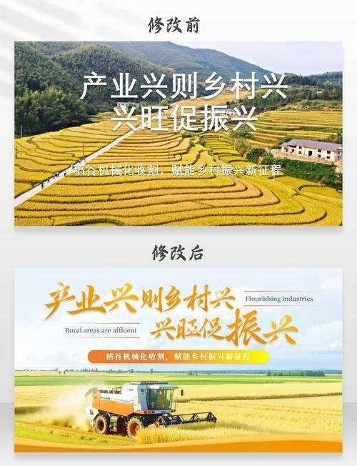 山东土豆种植技术