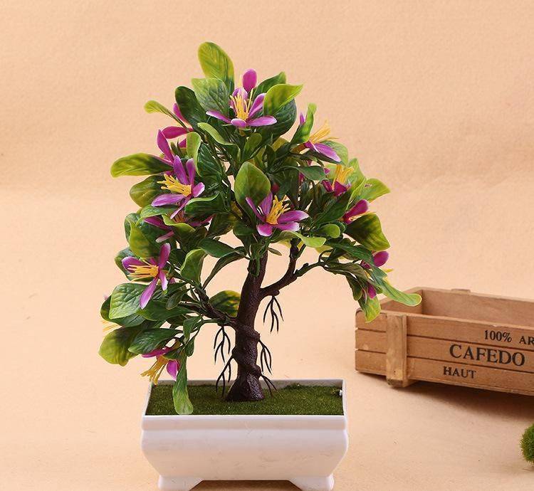 茶花的养殖方法和注意事项视频