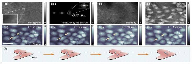 伪3d全息投影原理
