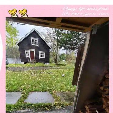 大蒜在家种植方法