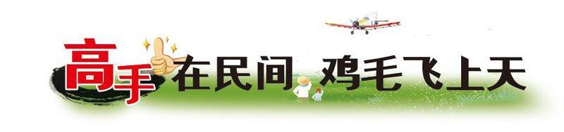 高手在民间|农民“玩转”无土栽培，在盐碱地上种出多种蔬菜