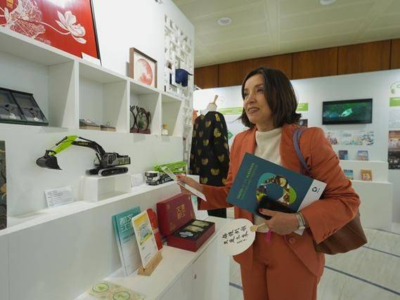 世界知识产权组织网站