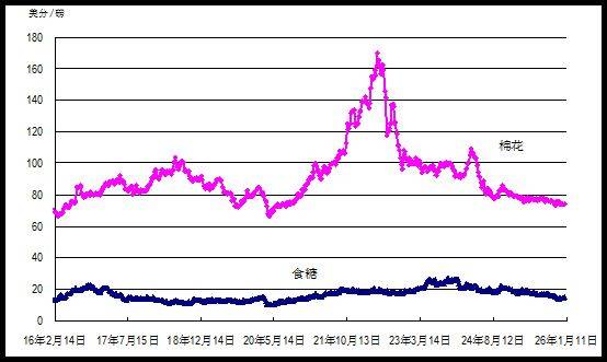 2026年鸡蛋价格上涨