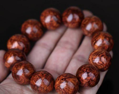 海南黄花梨种植方法