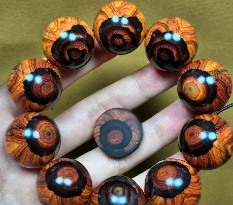 海南黄花梨种植方法