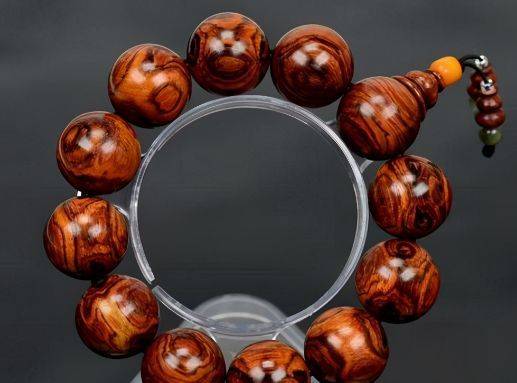 海南黄花梨种植方法