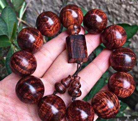 海南黄花梨种植方法