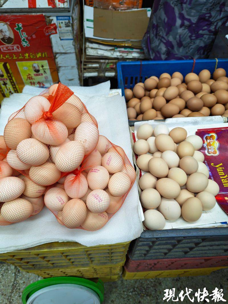 2026年鸡蛋价格上涨