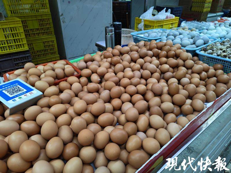 2026年鸡蛋价格上涨