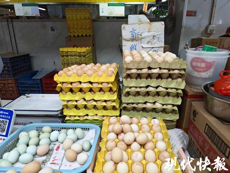 2026年鸡蛋价格上涨