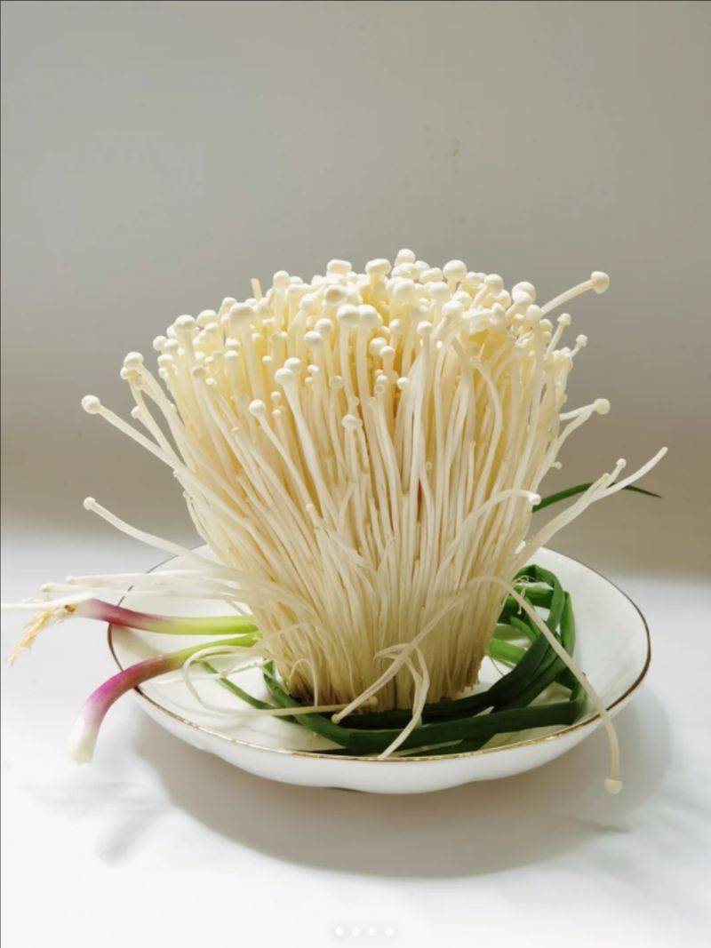 金针菇的种植方法