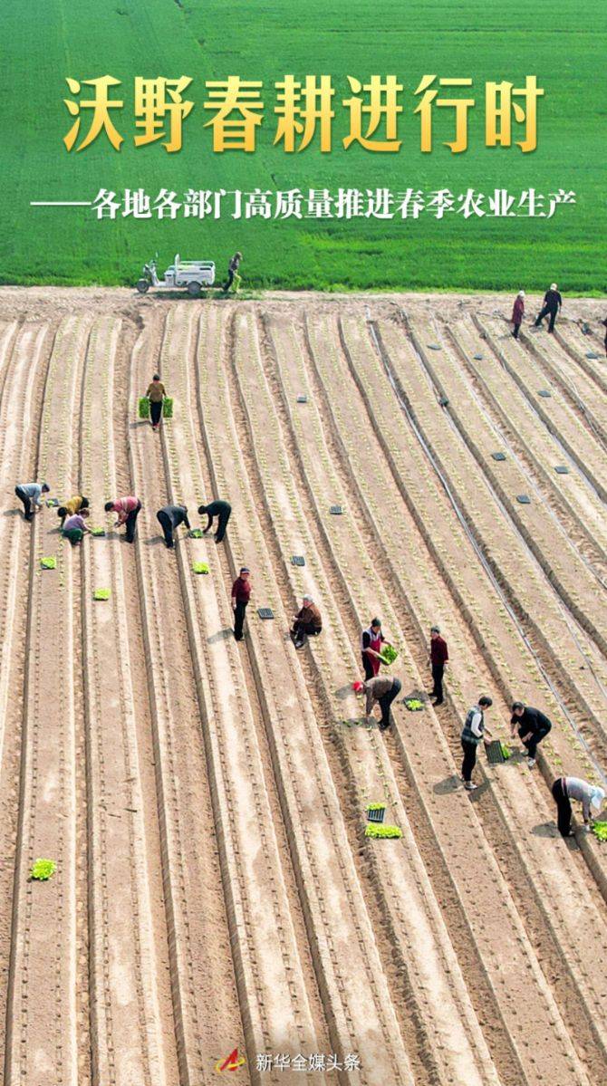 Technology and management of wheat cultivation