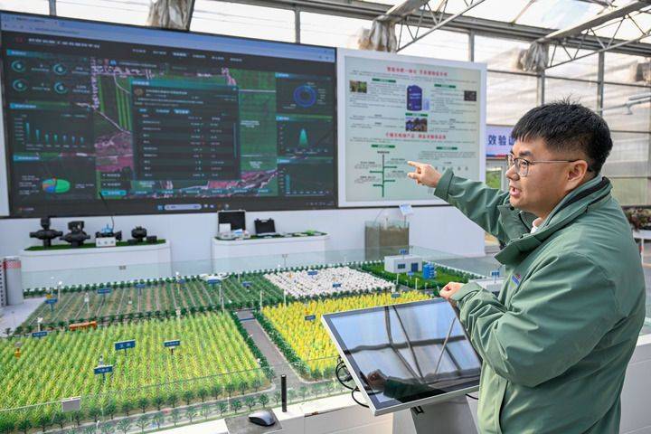 Technology and management of wheat cultivation