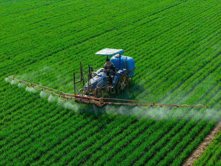Technology and management of wheat cultivation