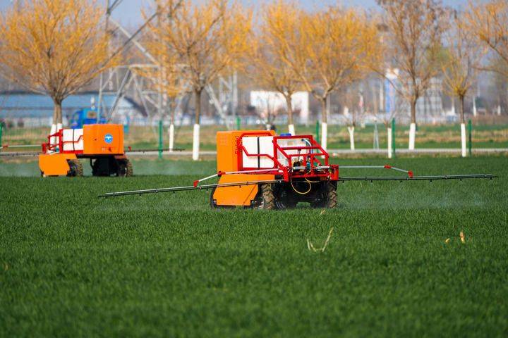 Technology and management of wheat cultivation