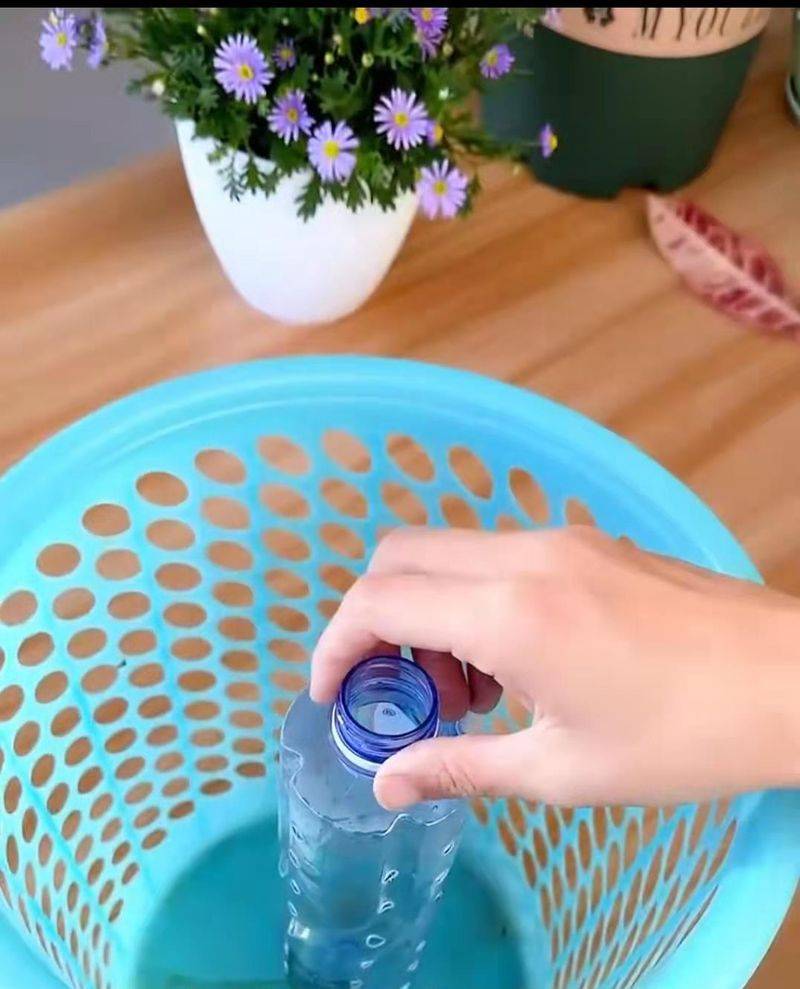 豌豆苗种植技术视频