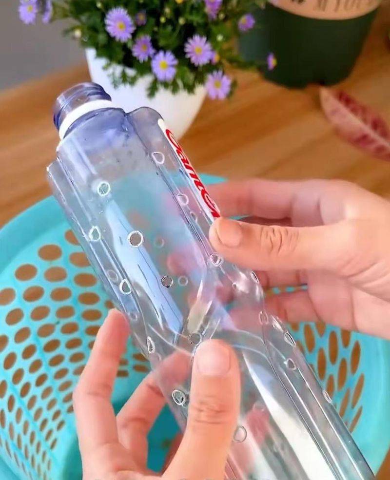 豌豆苗种植技术视频