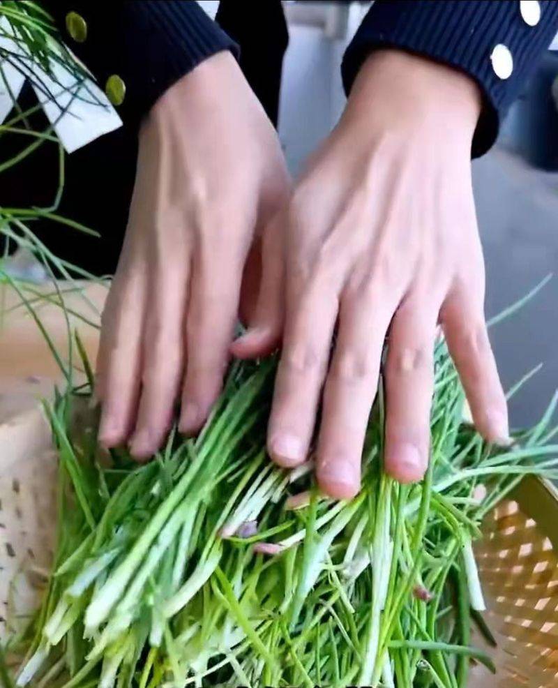 豌豆苗种植技术视频