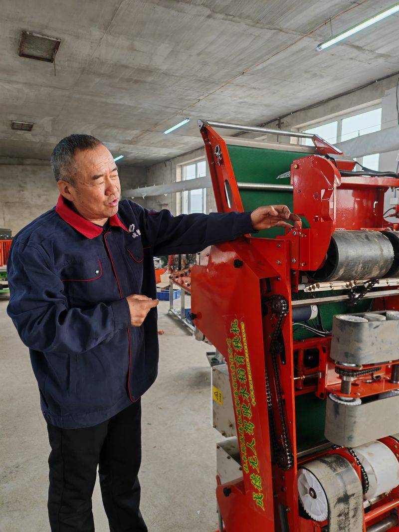 小麦种植技术与管理