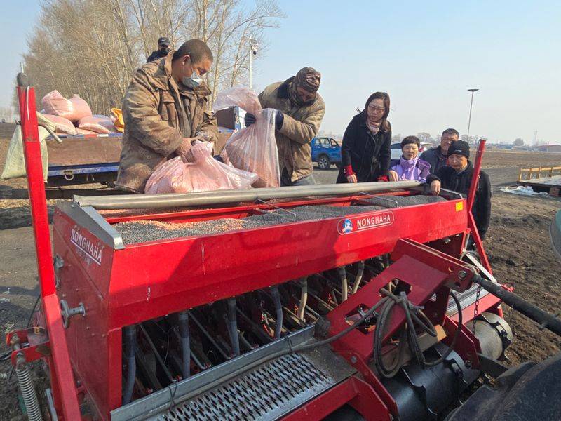 小麦种植技术与管理
