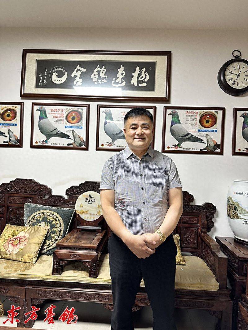 林波尔信鸽特点配对图