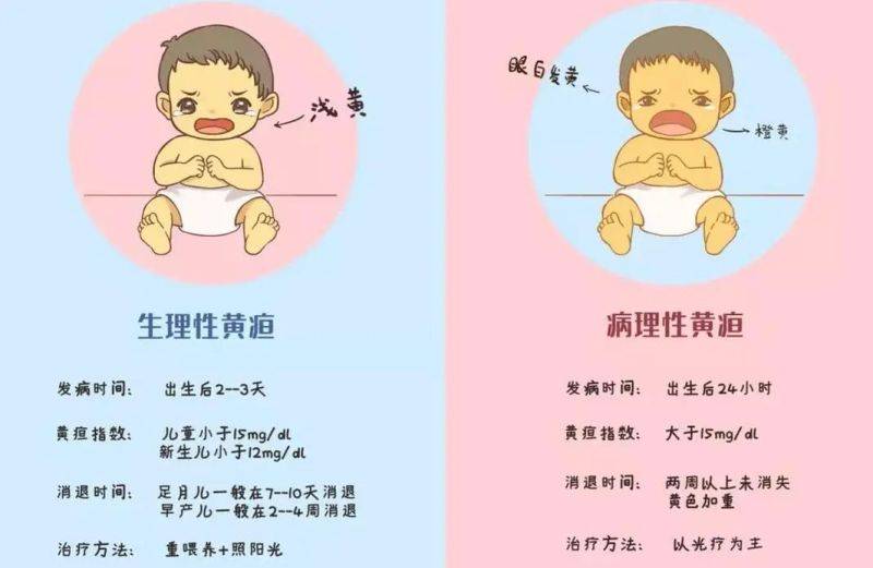 婴儿早教知识大全集