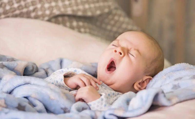 婴儿早教知识大全集