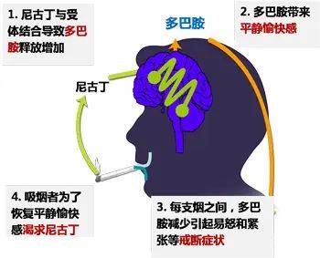 禁毒防艾知识竞赛