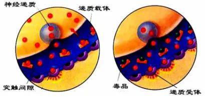 禁毒防艾知识竞赛