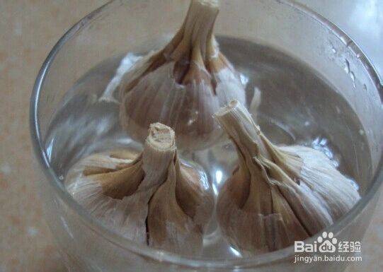 Garlic farming at home
