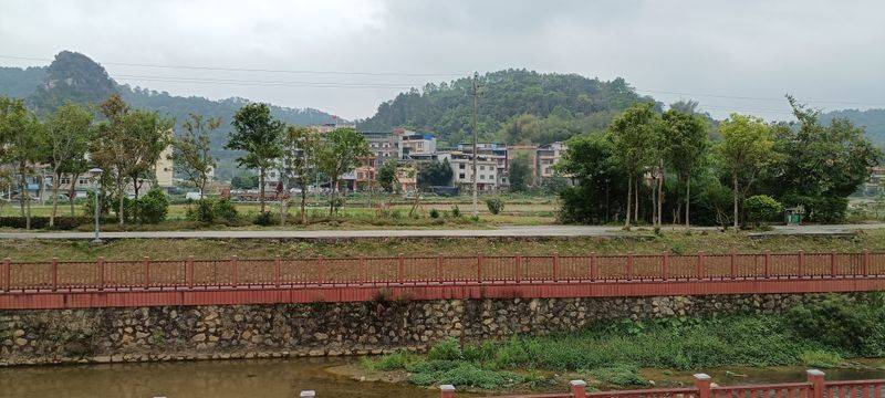 The method of cultivation of red tungsten