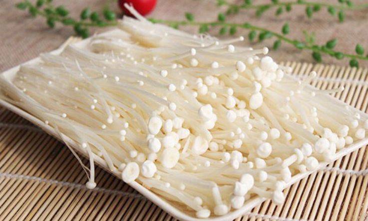 金针菇的种植方法