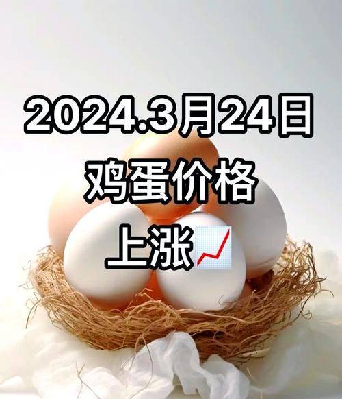 2026年鸡蛋价格上涨